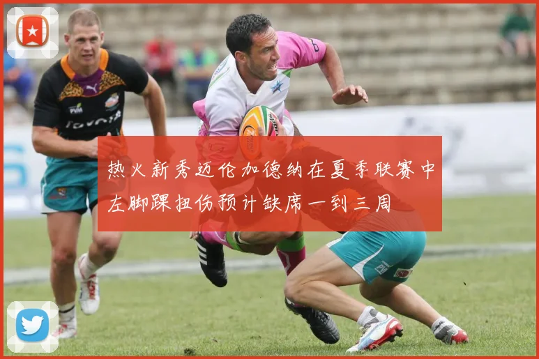 热火新秀迈伦加德纳在夏季联赛中左脚踝扭伤预计缺席一到三周
